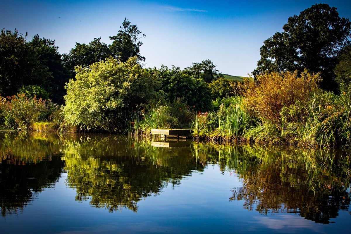 Welsh Coarse Angling Championships 2024 - Over 50's Festival