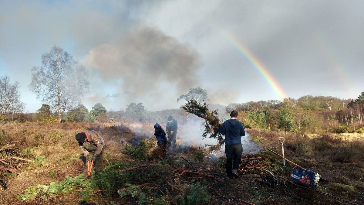 Yateley Common Thursday Conservation Volunteers