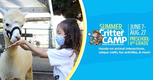 Summer Critter Camp Helen Woodward Animal Center Cardiff By The Sea 7 June To 18 August