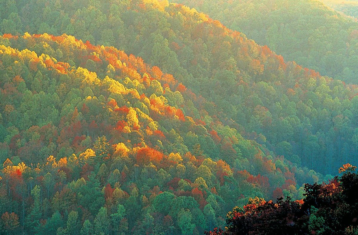 Dolly Parton's Smoky Mountain Christmas Carol - Ames