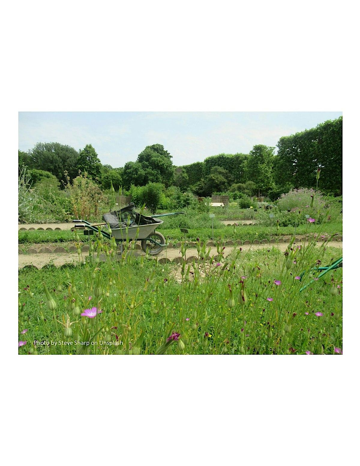 Frederick County Master Gardeners:  Maryland Living Landscape