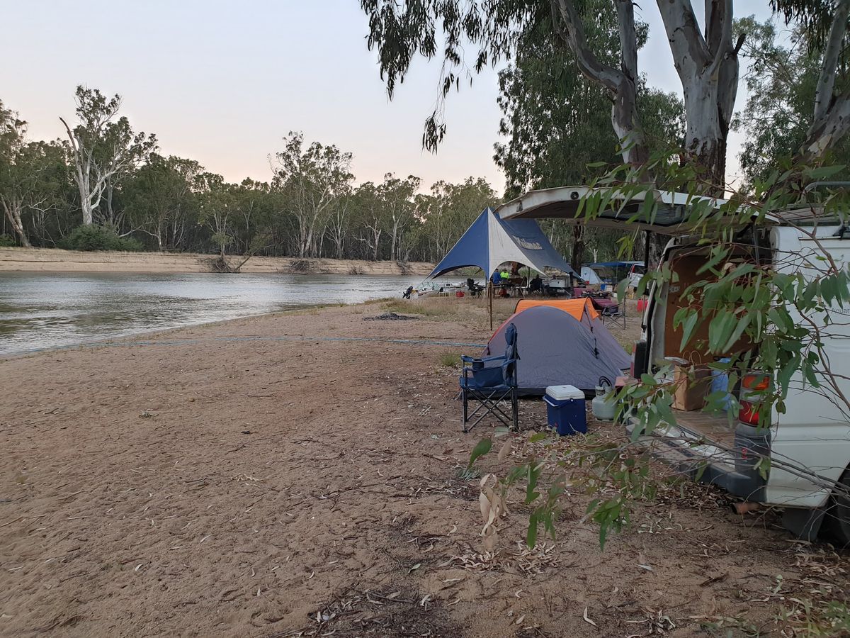 Joint ANGFA \/ Native Fish Australia Murray River field trip