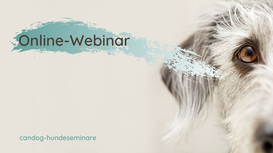 Webinar Rassetypische Verhaltensweisen mit Sophie Strodtbeck
