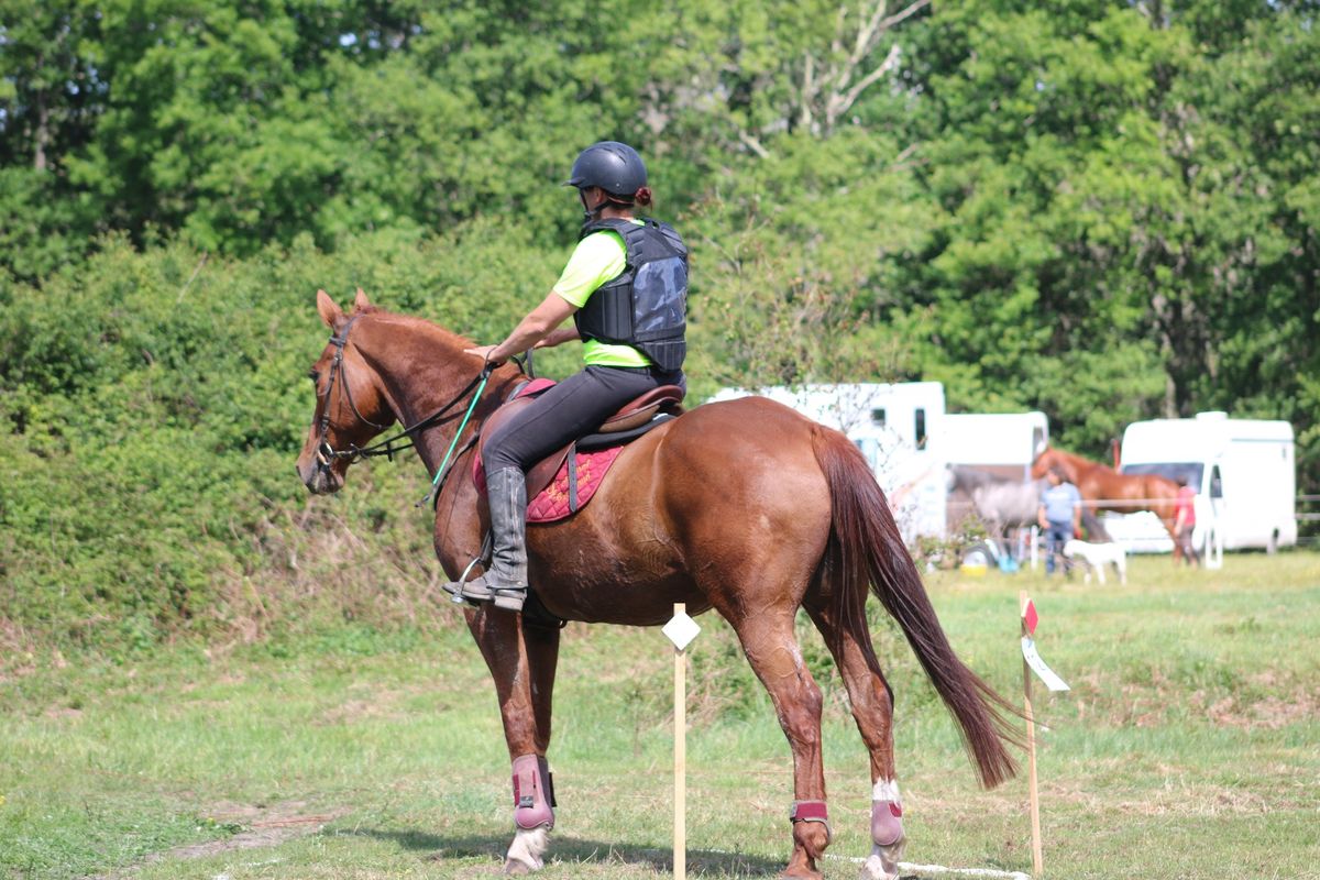 Trec officiel club+amateur