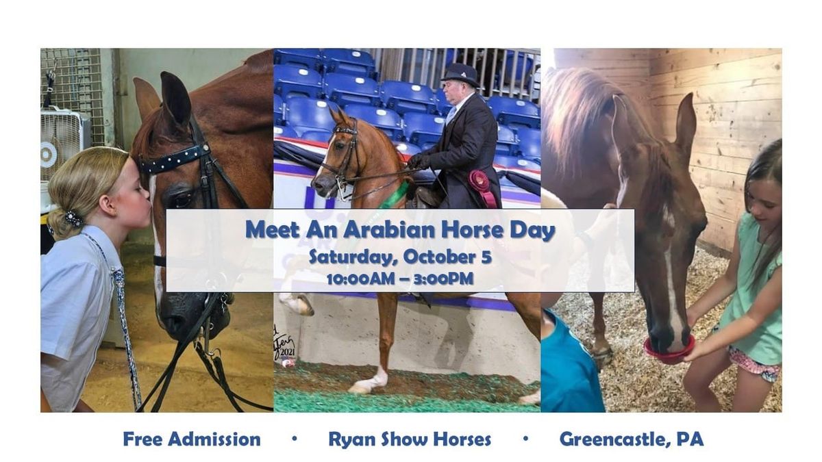 Meet an Arabian Horse Community Day!