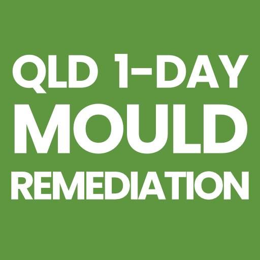 Workshop: Mould Remediation