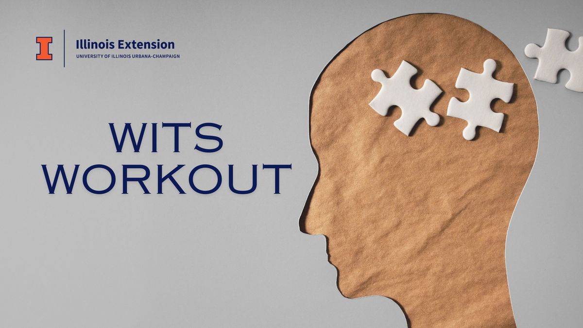 Wits Workout