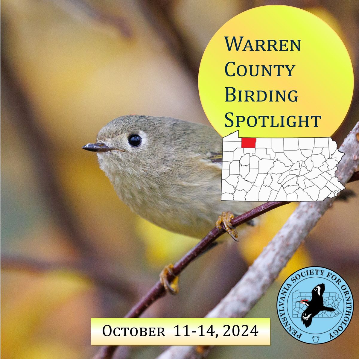 Warren County Birding Spotlight