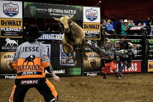 PBR: Professional Bull Riders