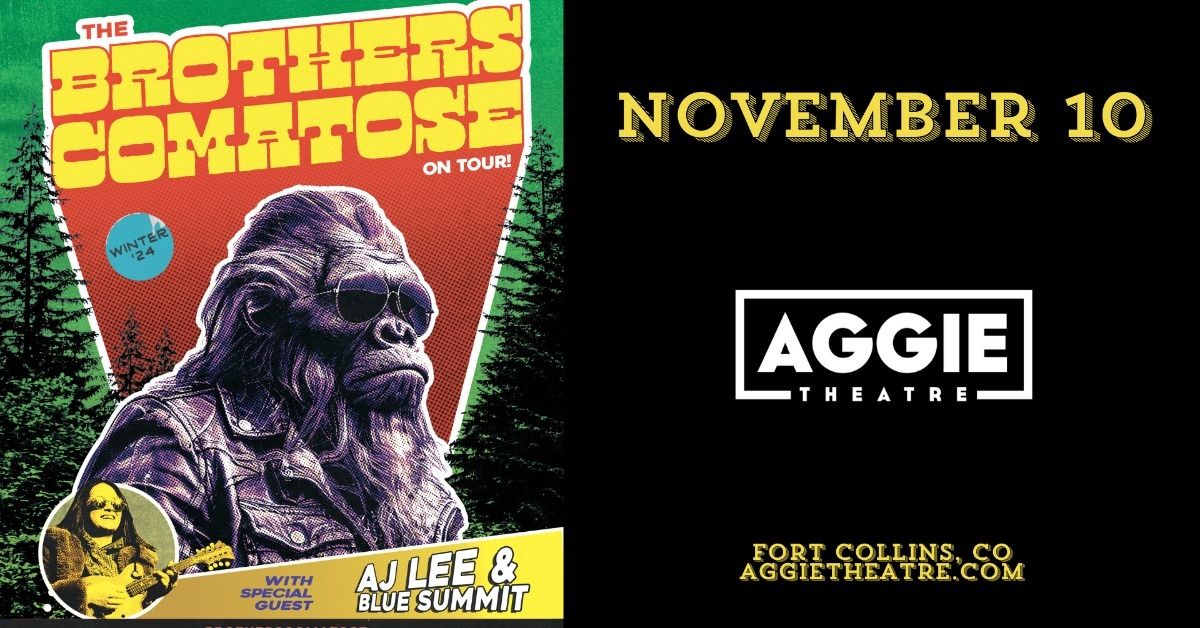 The Brothers Comatose w\/ AJ Lee & Blue Summit | Aggie Theatre