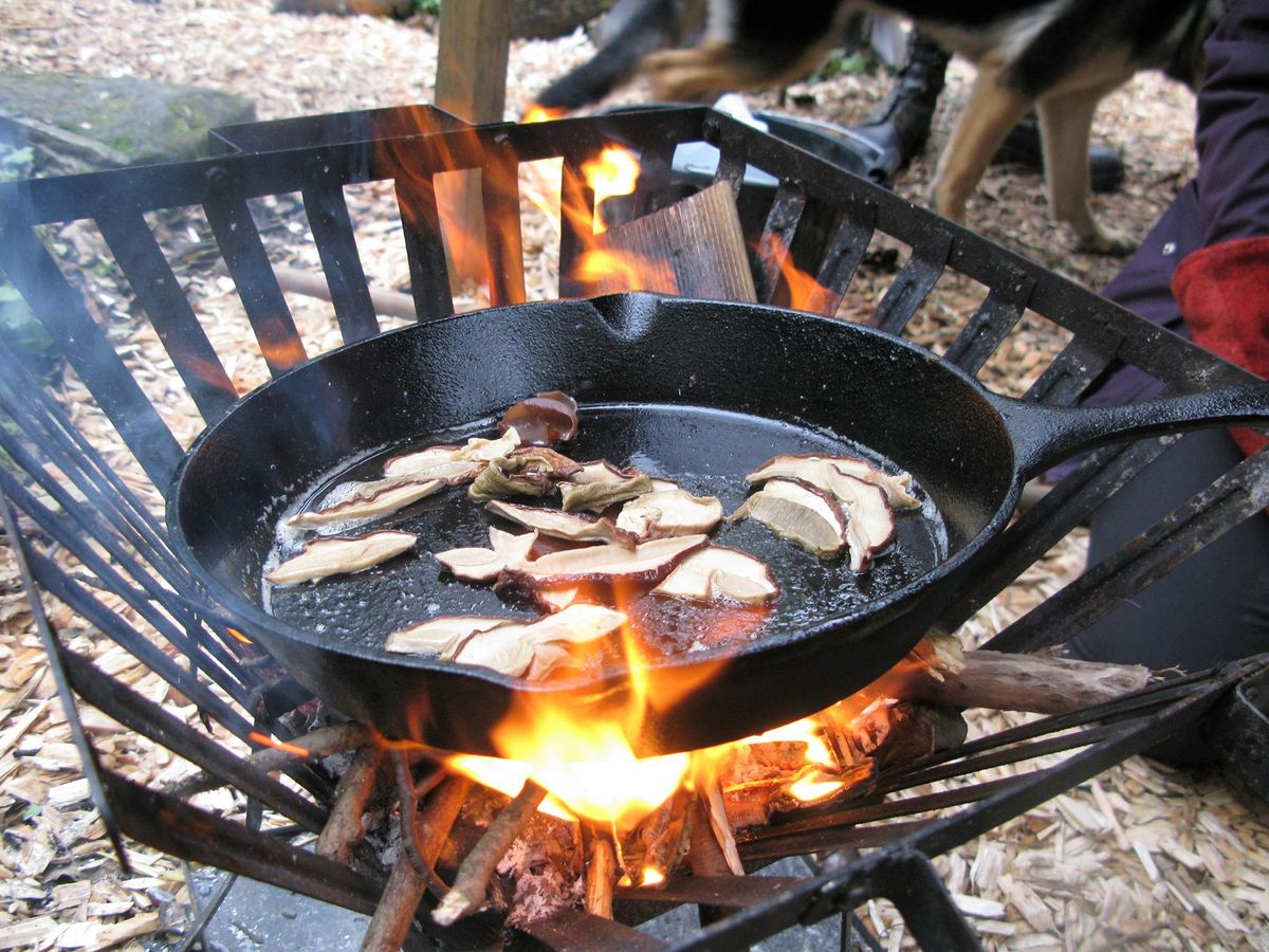 Mushroom walk and fry up! with 'Discover the Wild'