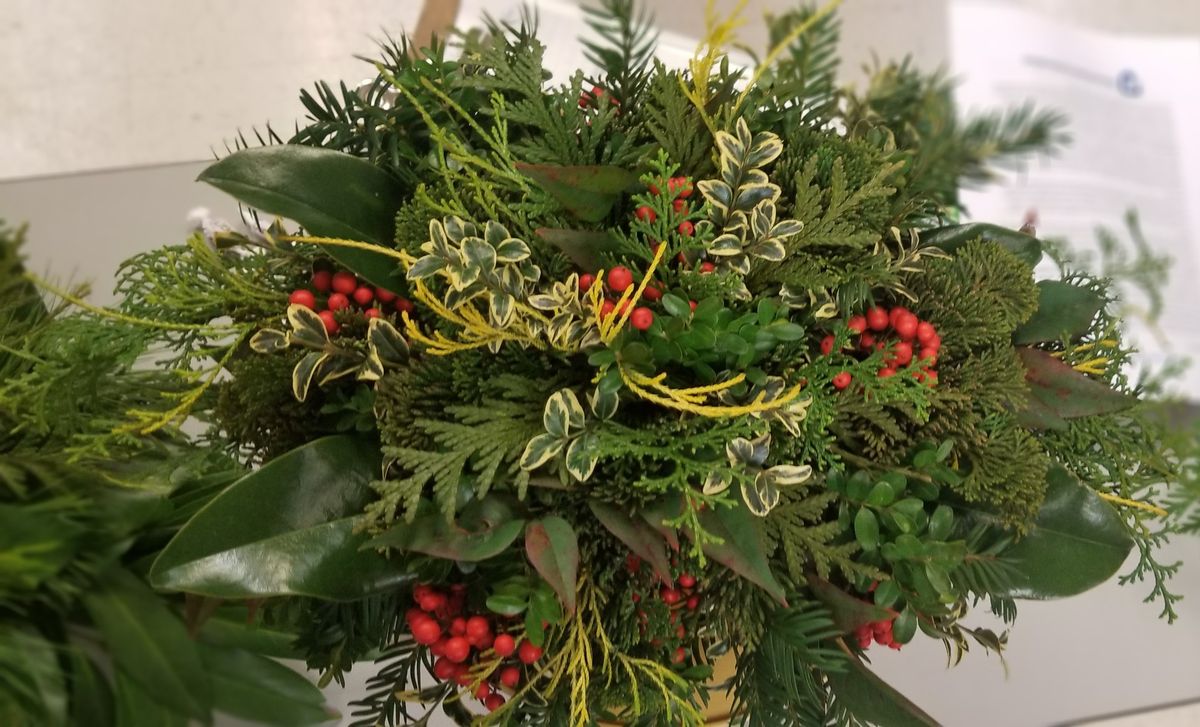 Evergreen Identification and Centerpiece Workshop   $25