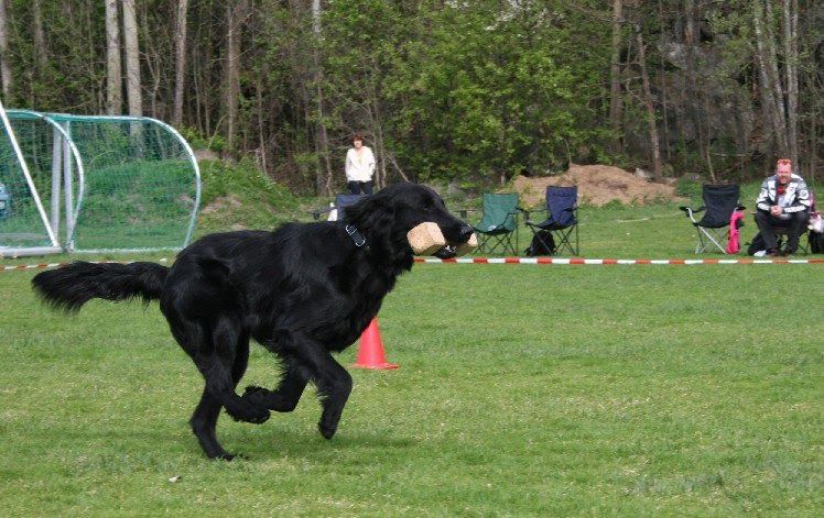 Offisielle LP stevner 26 og 27 april.