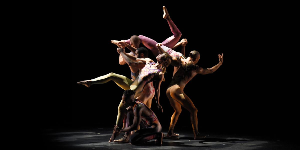 Pilobolus 're:CREATION'