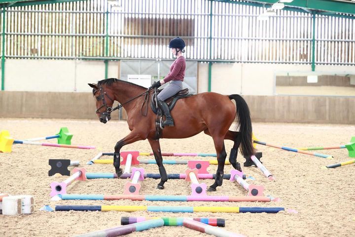 Raised Pole clinic at Abbey Farm Dressage 