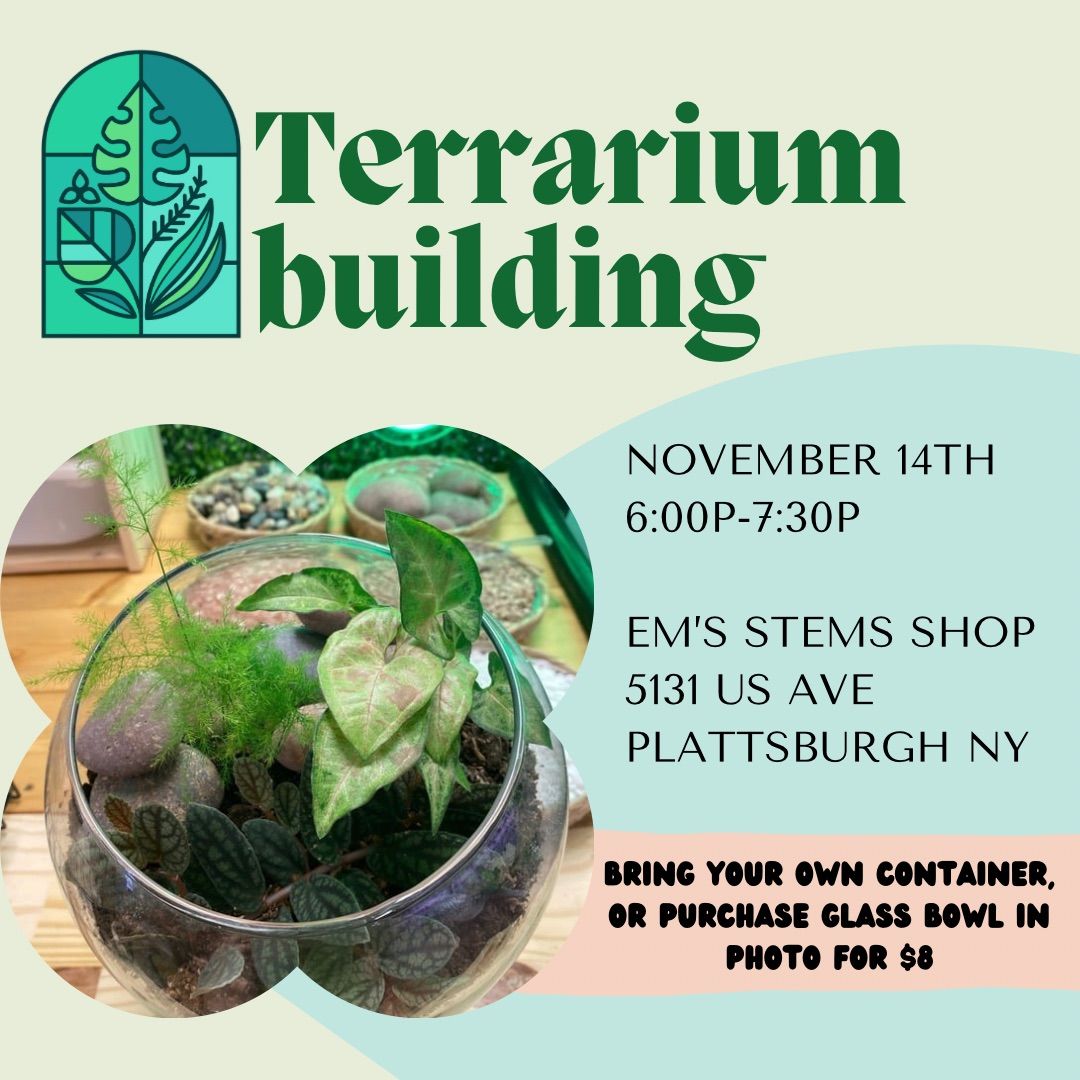 Terrarium building (adults)