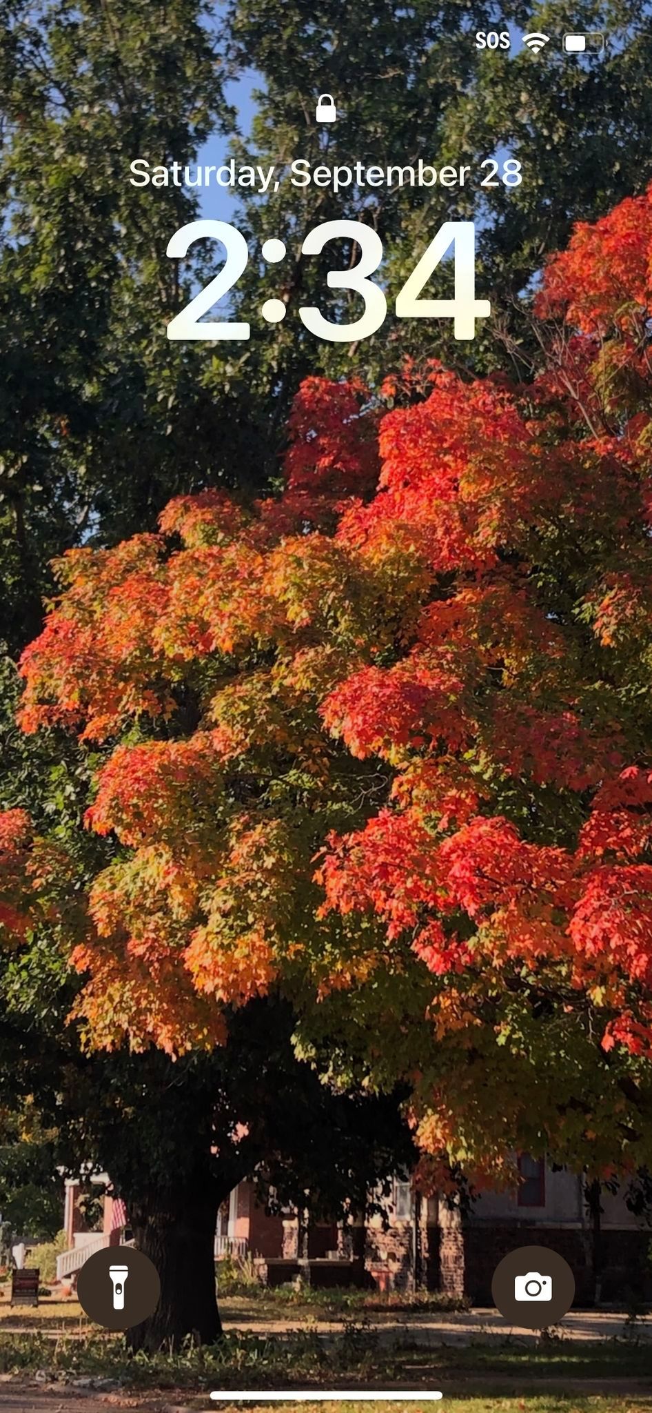 Walking Tour of K-State's Historical Trees