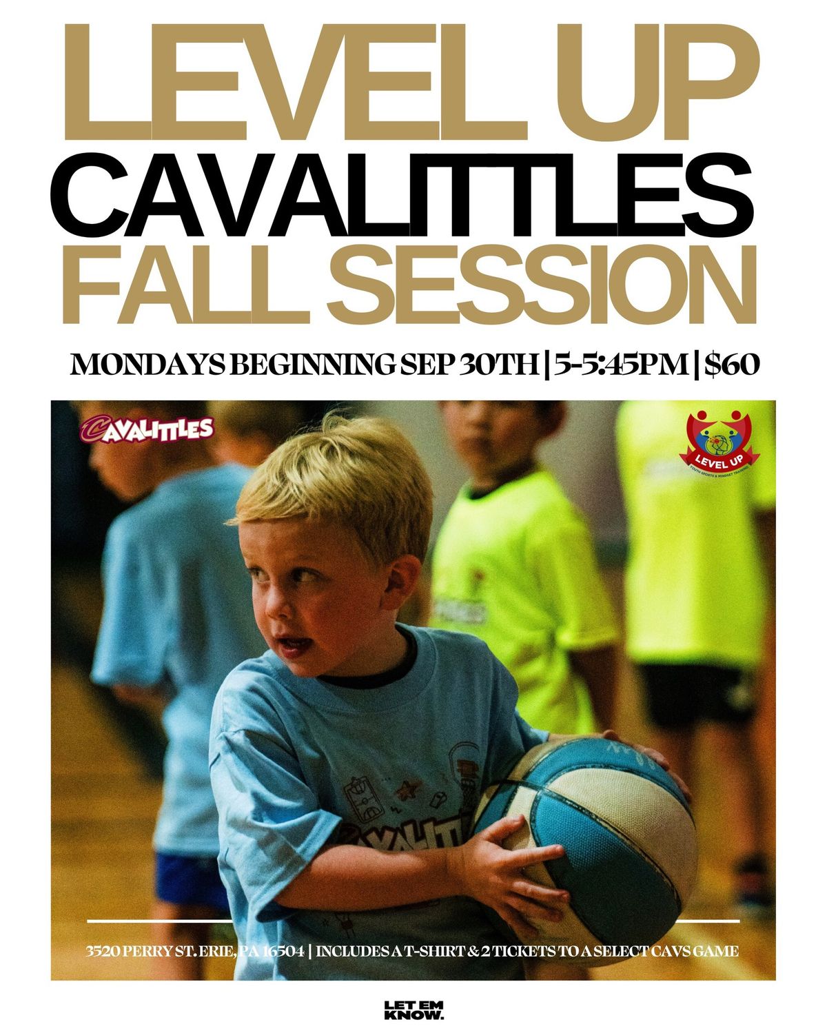 LEVEL UP Cavalittles Sessions