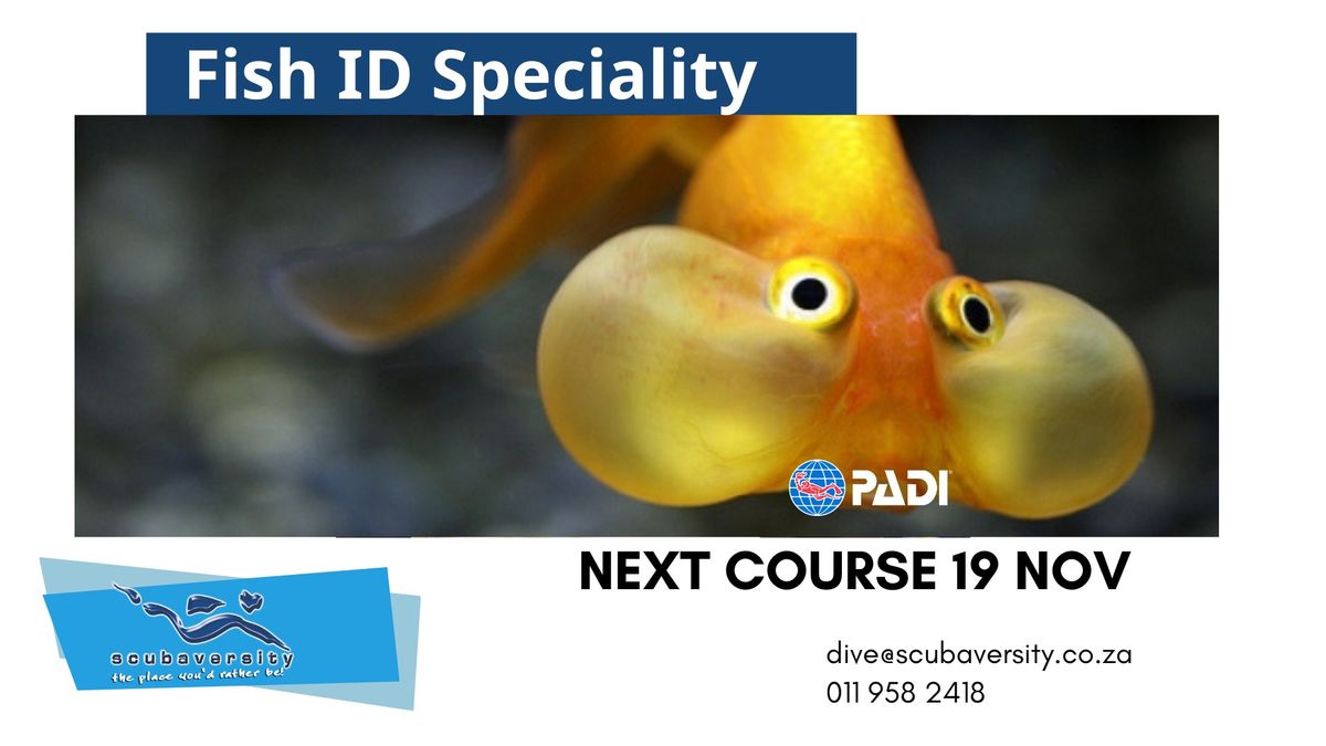 Fish ID Speciality Nov 2024