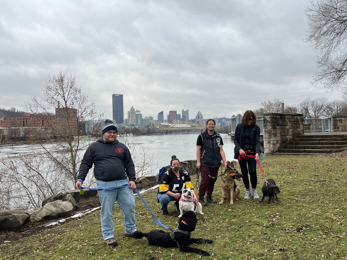 New Year's Day Walk - Herrs Island