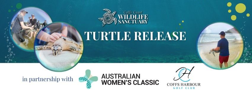 Turtle Release 'Liz' in partnership with Australian Women's Classic 