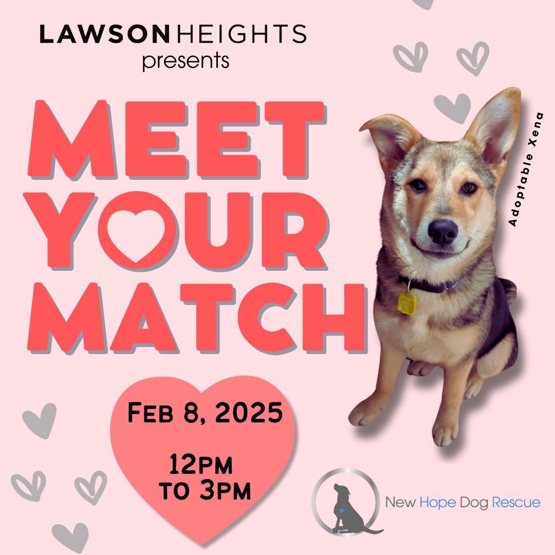 Meet Your Match adoption event