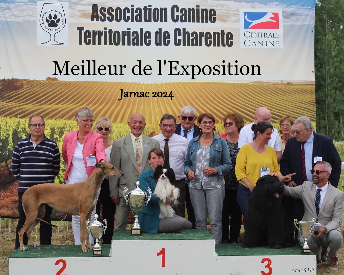 Exposition canine CACS de SIGOGNE (anciennement JARNAC)