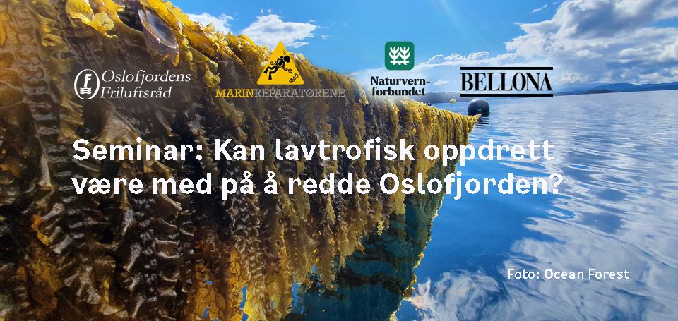 Kan lavtrofisk oppdrett v\u00e6re med \u00e5 redde Oslofjorden?                 