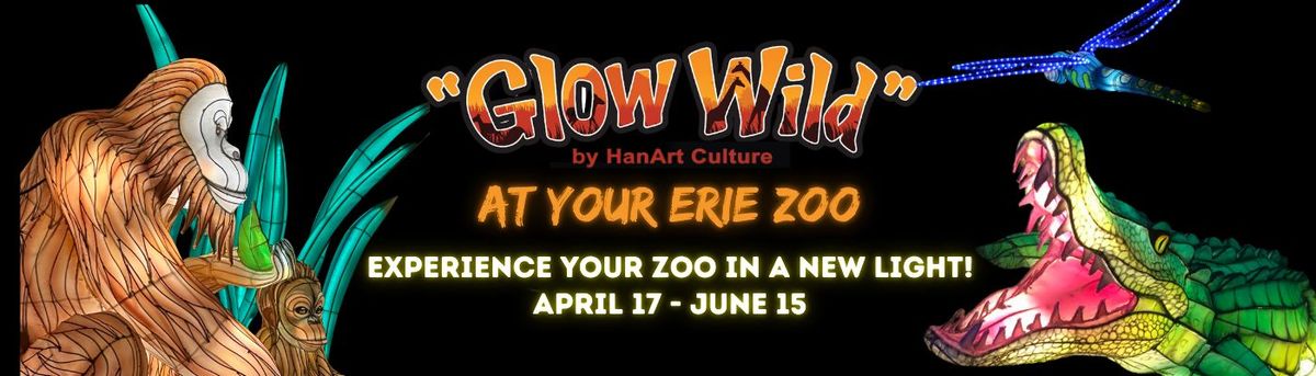 Glow Wild: Chinese Lantern Festival