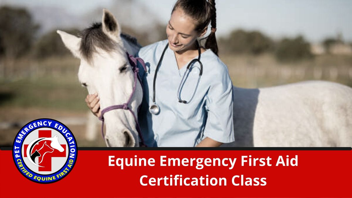 Equine Emergency First Aid Certification Class Brainerd, MN