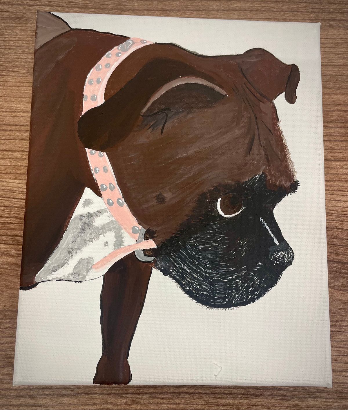 Paint Your Pet $25