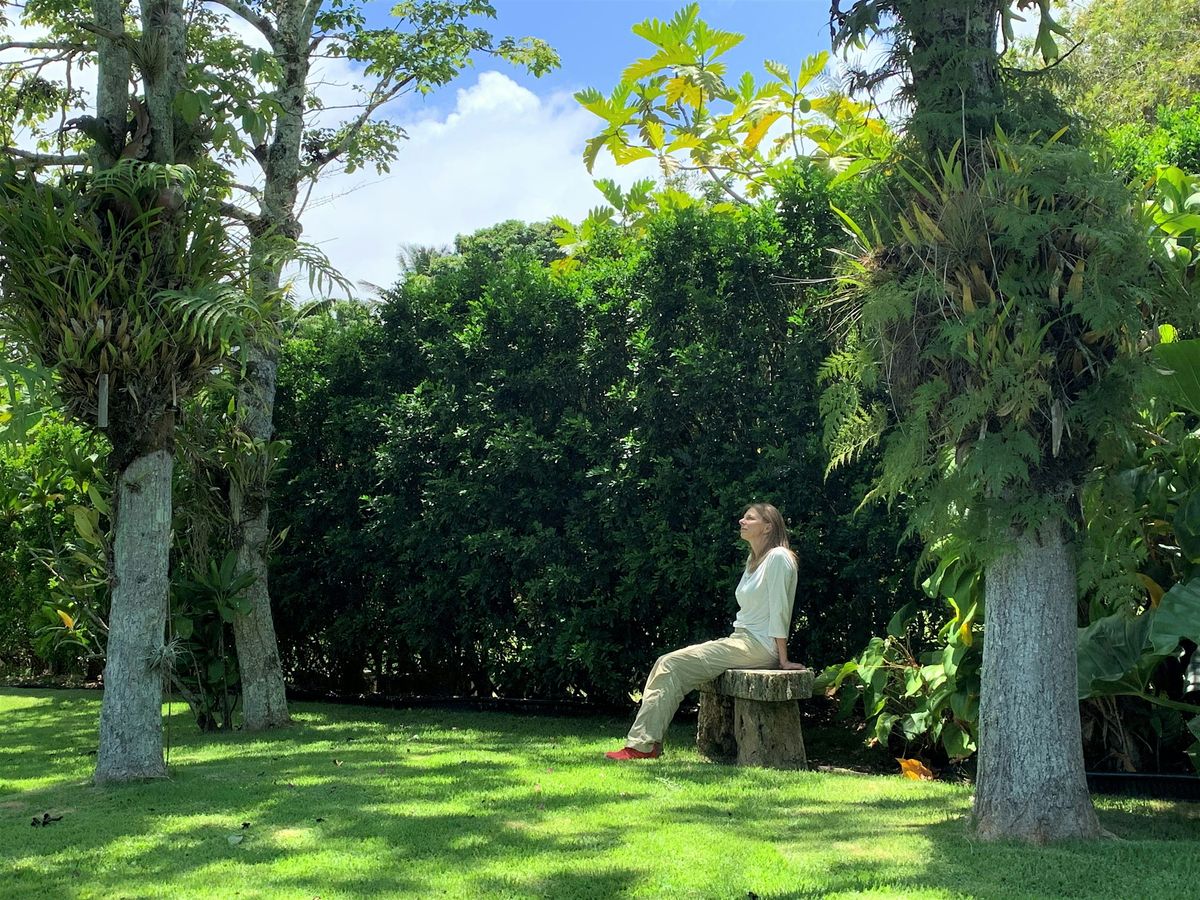 Forest Bathing in an Artist's Garden