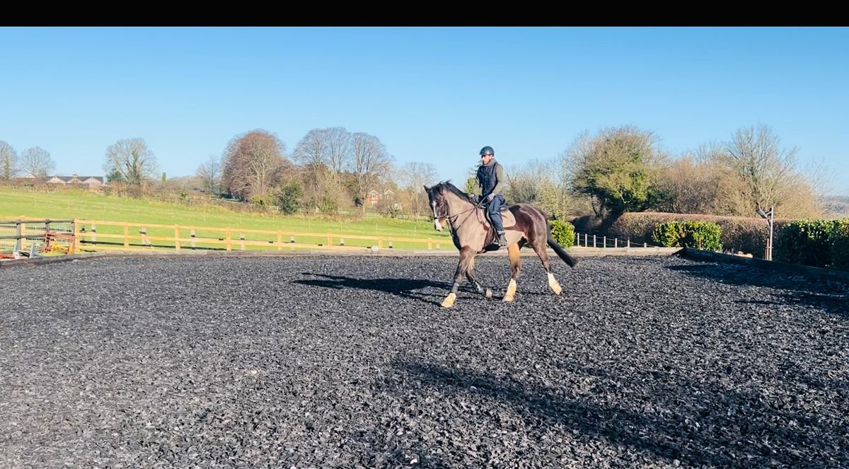 Evening Flat Work Group Session (4 Riders) 