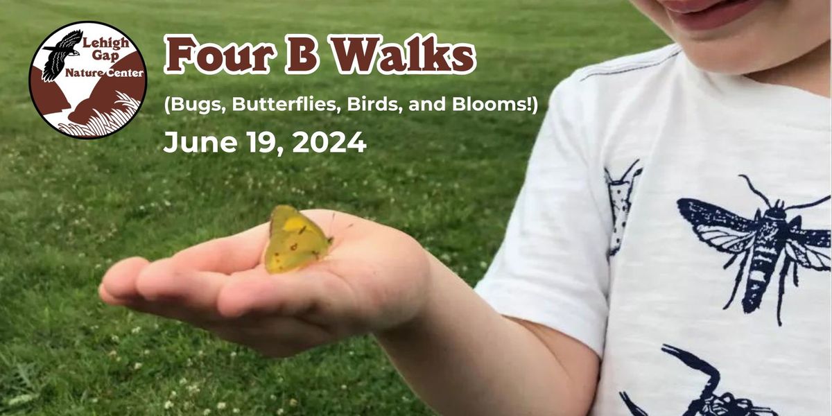 Four B Walks (Bugs, Butterflies, Birds, and Blooms)
