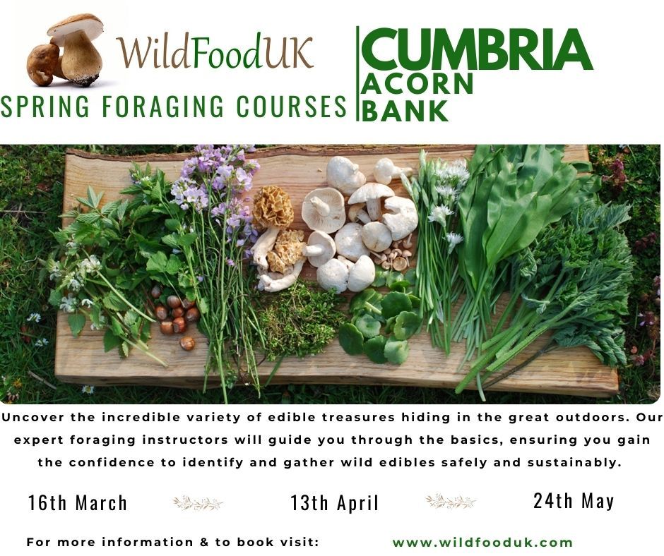 Cumbria, Acorn Bank, Spring Foraging Course