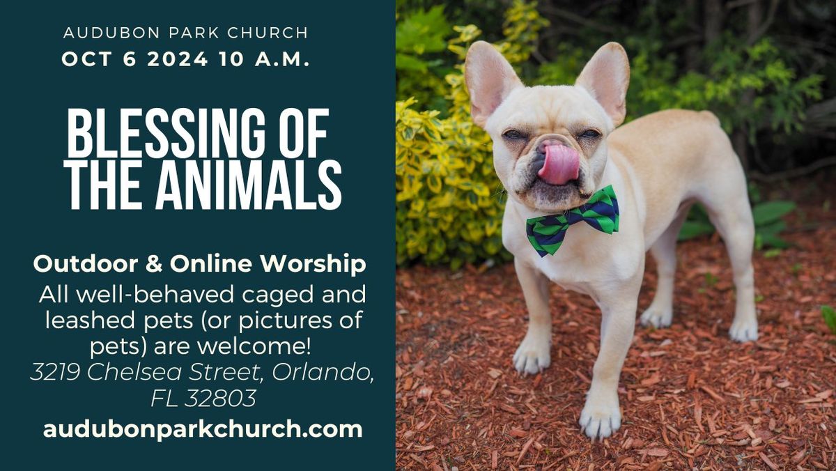 Orlando Pet Blessing