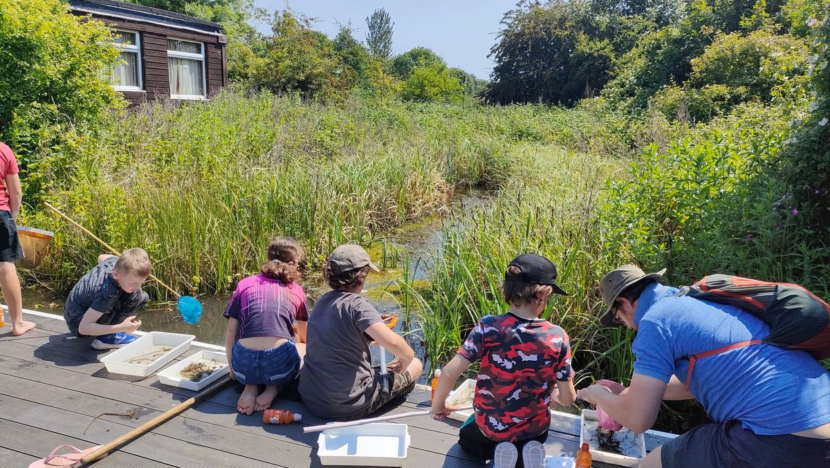 Pond Dipping