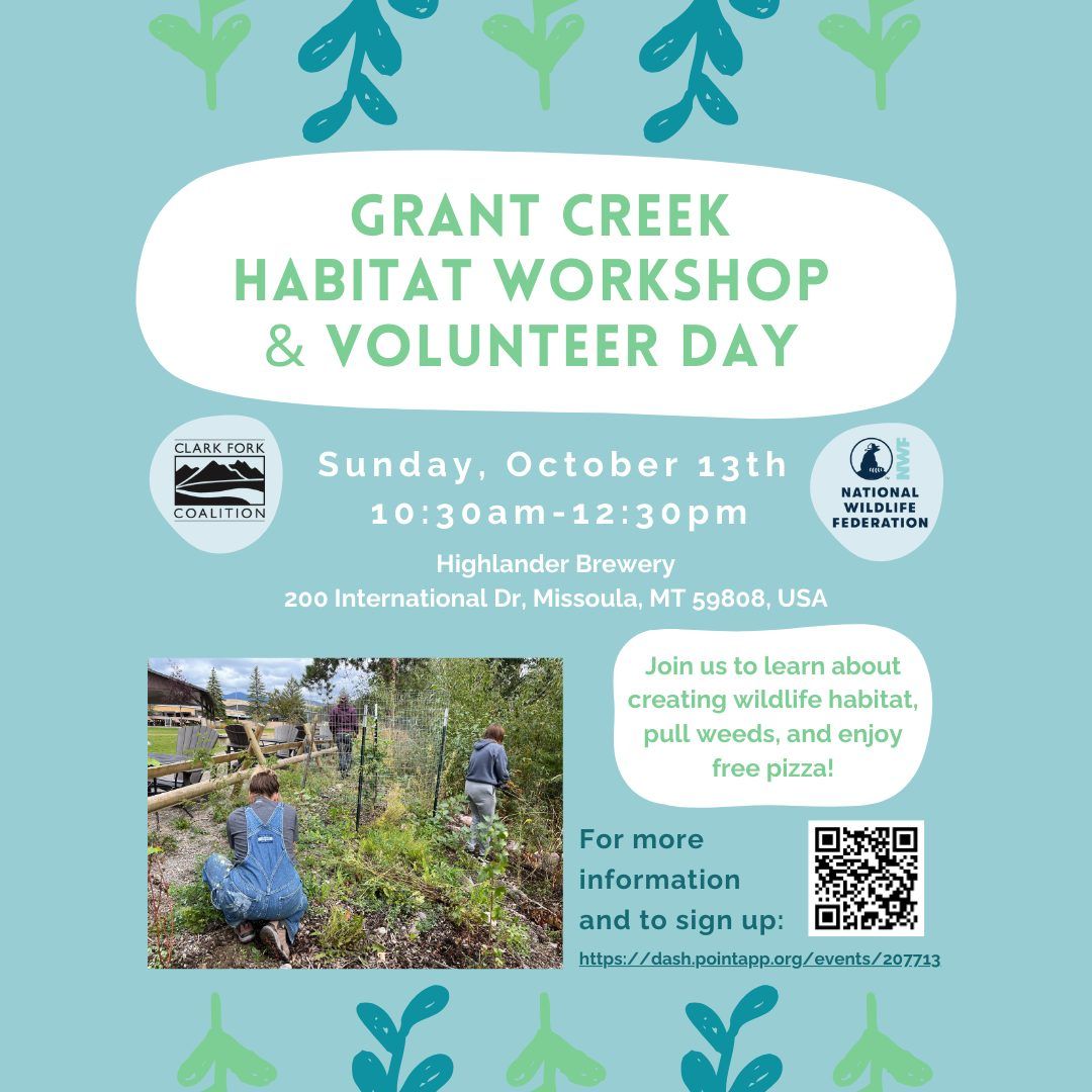 Grant Creek Habitat Workshop & Volunteer Day