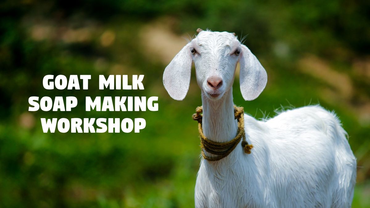 ADVANCED SOAP - GOAT MILK SOAP MAKING WORKSHOP