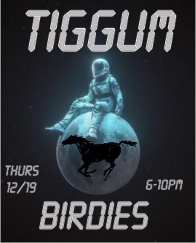 Wiggum (Tiggum) @ Birdies!