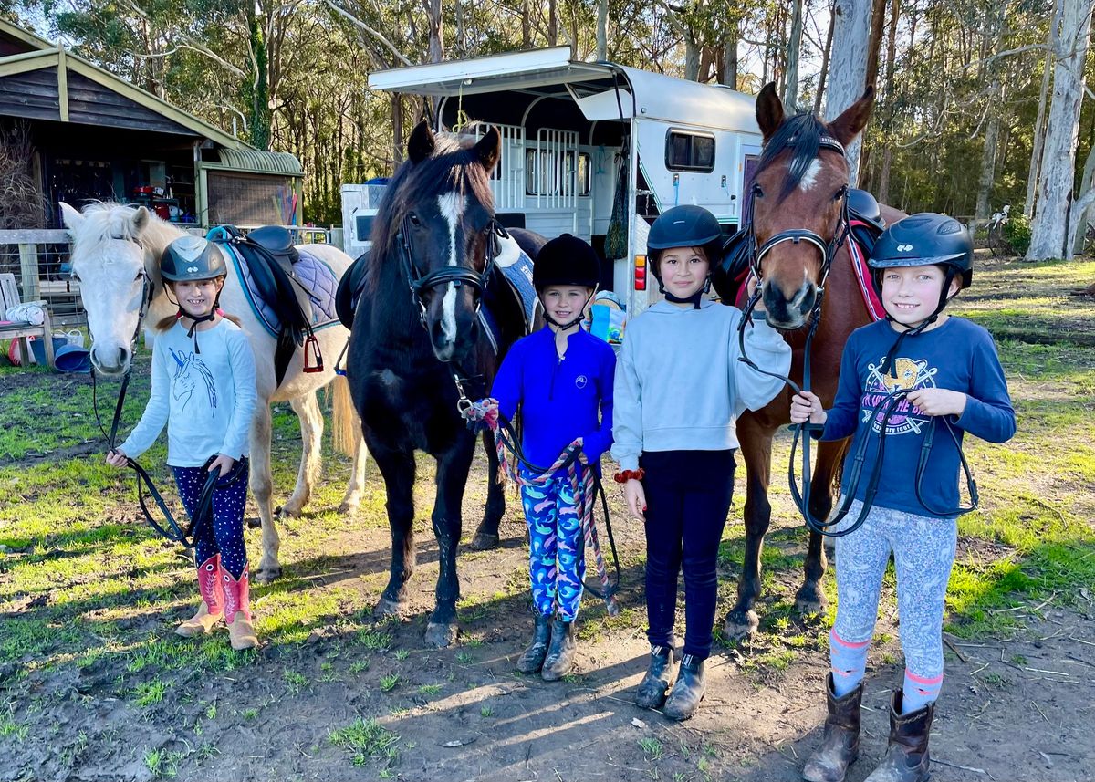 Holiday Pony Camp - January 2025