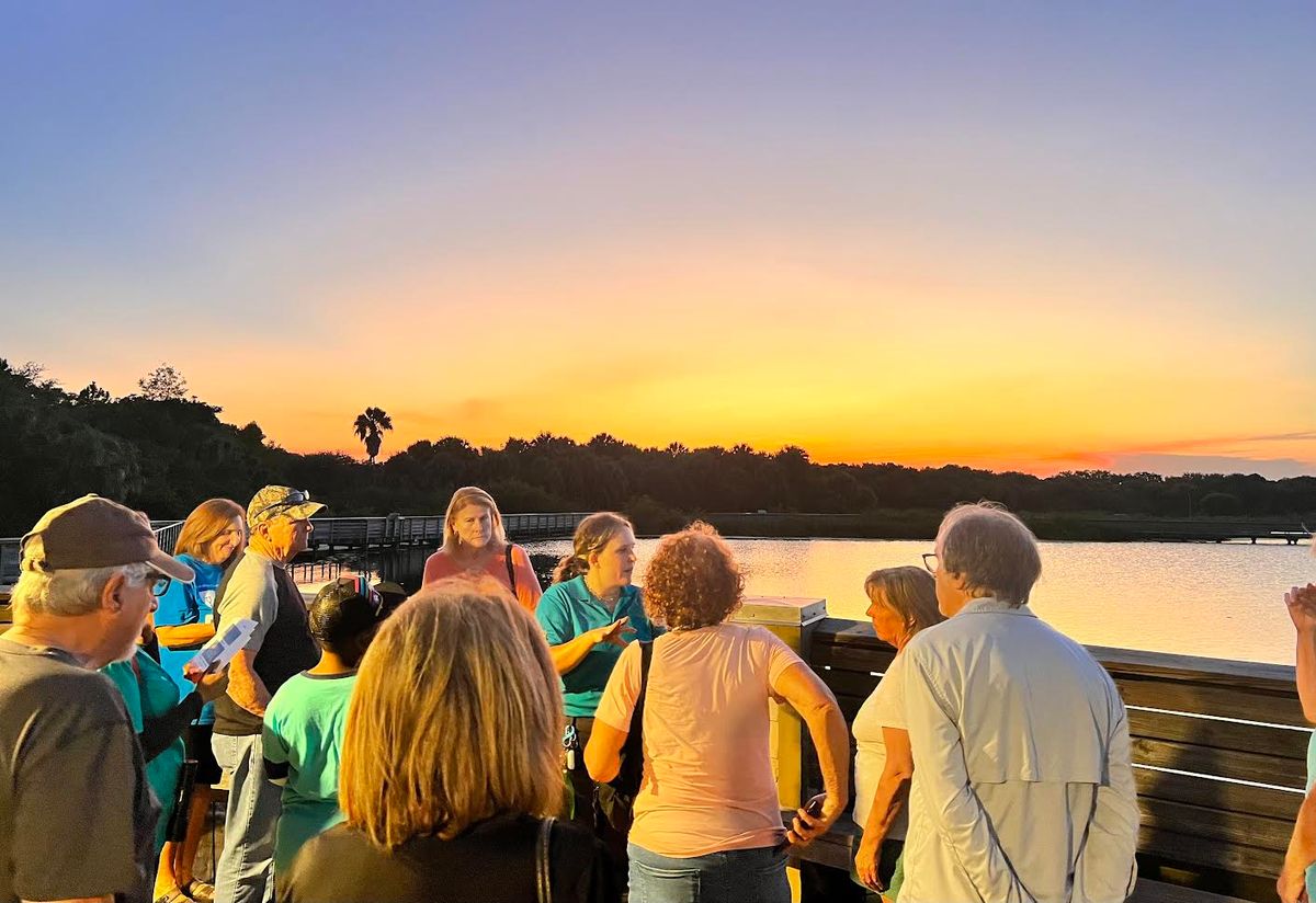 Night Stalkers: Night-time Nature Tour