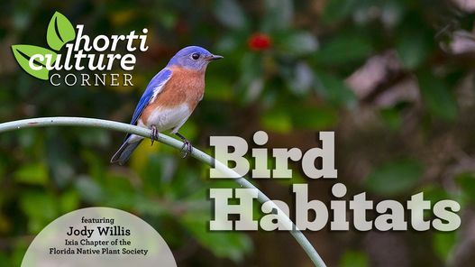 Horticulture Corner: Bird Habitats
