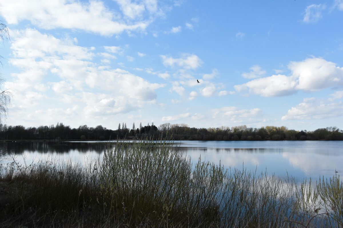 Noticing Nature - Poetry Workshop