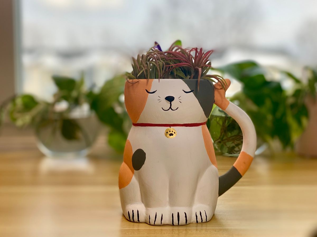 Cat Planter: Mindful Painting