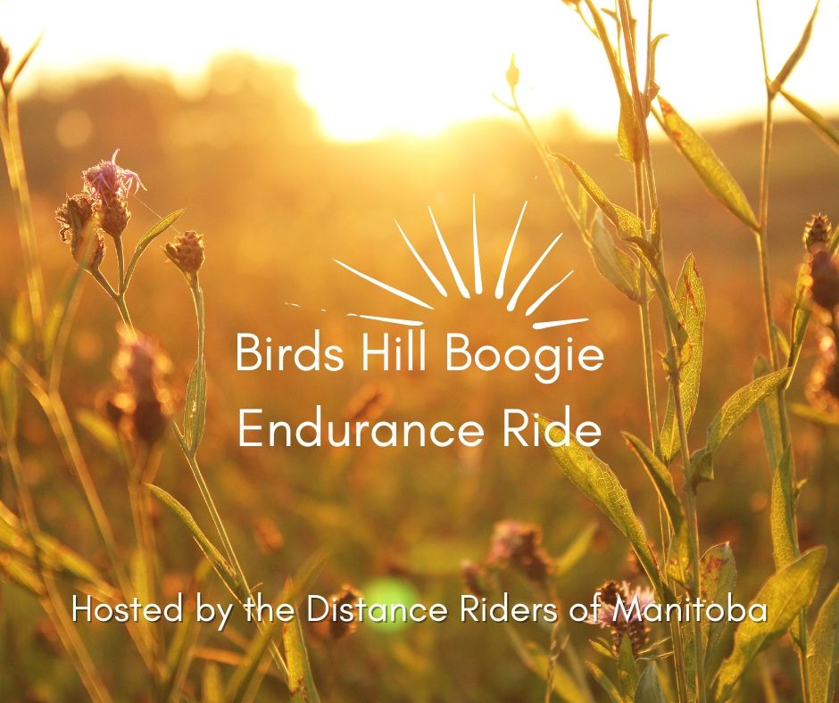 Birds Hill Boogie Endurance Ride