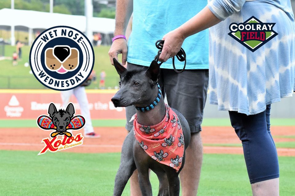 Wet Nose Wednesday & Xolos de Gwinnett - Gwinnett Stripers vs. Norfolk Tides