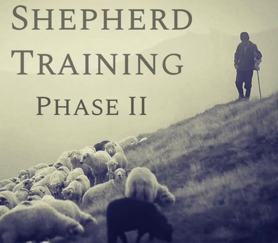 Shepherd Training (Phase 2)