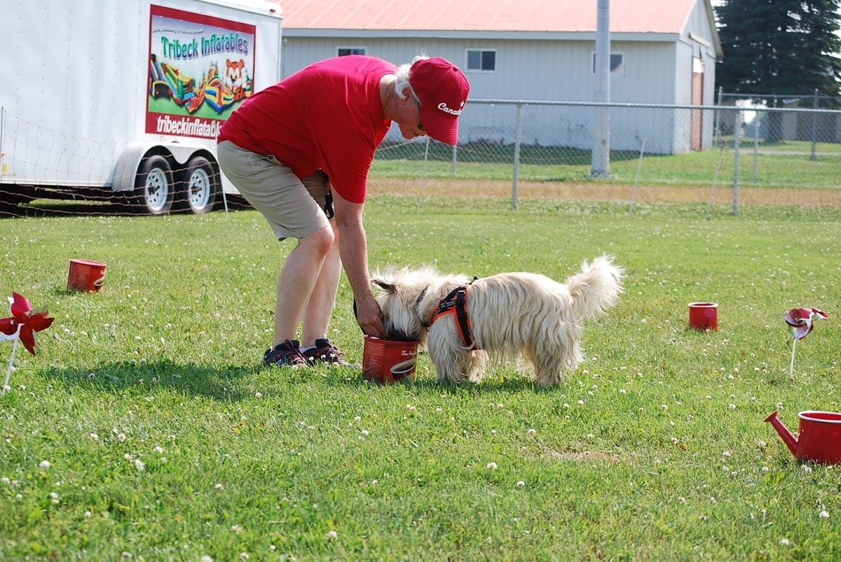 Intro to K9 Nose Work\u00ae (Beginner I)