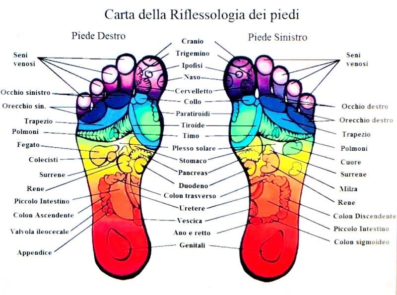 Primo Livello Riflessologia Plantare -La Mendola Giuseppe